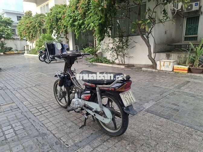 xe dream hàn quốc