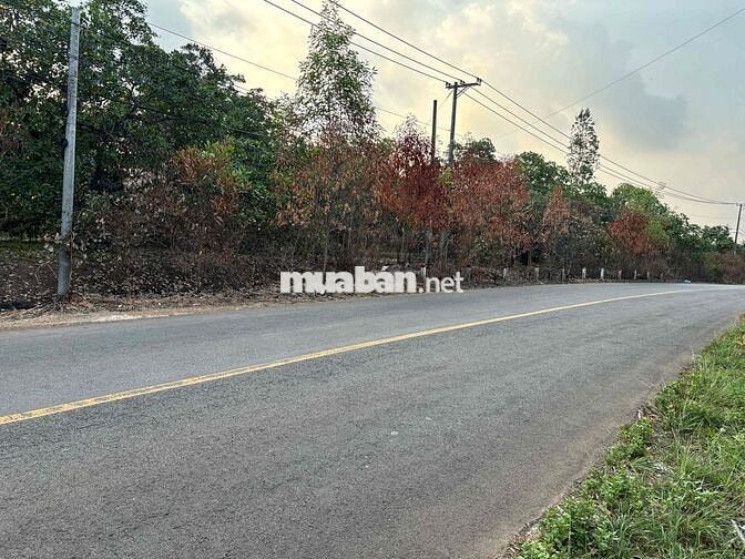 Đất mặt tiền Nam Lộ 101 cách QL20 5km, dt 1,6 sào cần bán