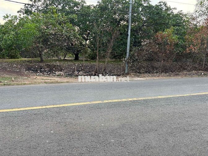 Đất mặt tiền Nam Lộ 101 cách QL20 5km, dt 1,6 sào cần bán