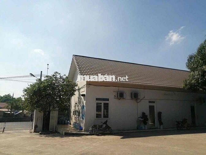 Cho thuê xưởng đẹp sẵn PCCC,Trạm cân Phước Tân,Biên Hoà