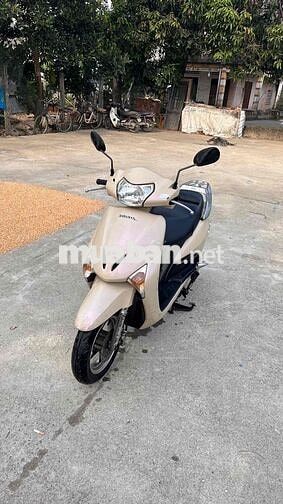 Honda Lead màu Vàng kem