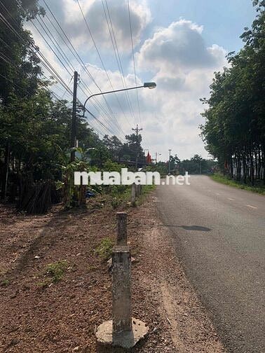 Bán Đất Dân 527m2 Có Thổ Cư Ngay Trung Tâm Uỷ Ban Xã Gần Chợ 100m