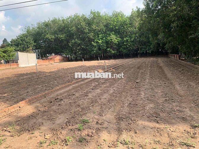 Bán Đất Dân 527m2 Có Thổ Cư Ngay Trung Tâm Uỷ Ban Xã Gần Chợ 100m