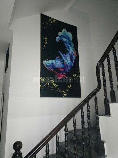 Nguyên Căn MT Bình Giã. Dt : 3,6 x 24m. 5 PN