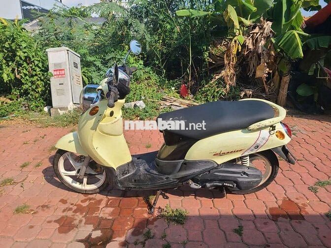 Yamaha clasico 2012 Vàng-Nâu
