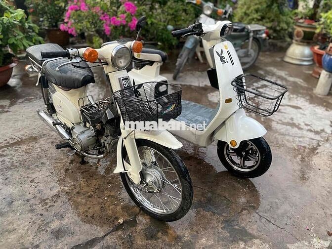 Xe điện và xe cup 50cc