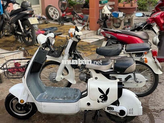 Xe điện và xe cup 50cc