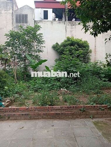 BÁN ĐẤT TÁI ĐỊNH CƯ ĐẶNG VŨ HỶ