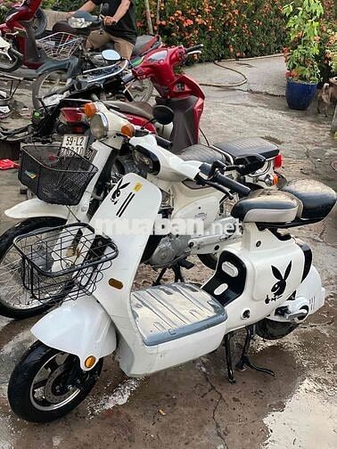 Xe điện và xe cup 50cc