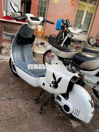 Xe điện và xe cup 50cc