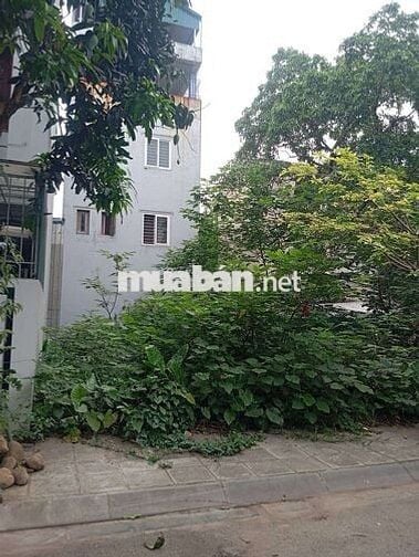 BÁN ĐẤT TÁI ĐỊNH CƯ ĐẶNG VŨ HỶ