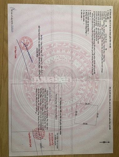 Bán vườn nghĩ dưỡng P12- Vũng Tàu 25x27
