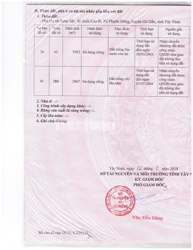 Cần bán 8019m2 đất ấp Suối Cao B, xã Phước Đông, Gò Dầu, Tây Ninh