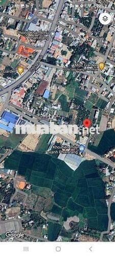 BÁN LÔ ĐẤT PHƯỜNG ĐẠO LONG - TP PHAN RANG