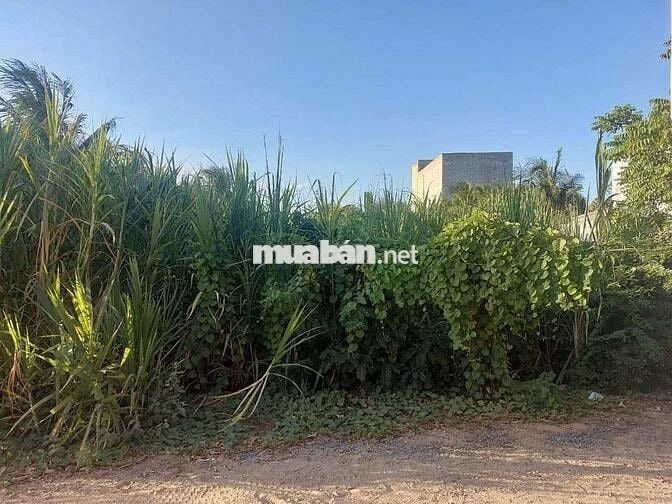 BÁN LÔ ĐẤT PHƯỜNG ĐẠO LONG - TP PHAN RANG