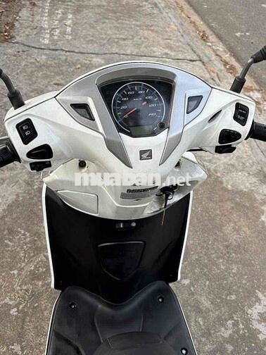 Honda Lead Trắng