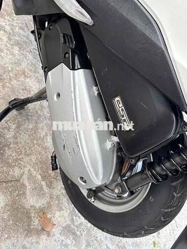 Honda Lead Trắng