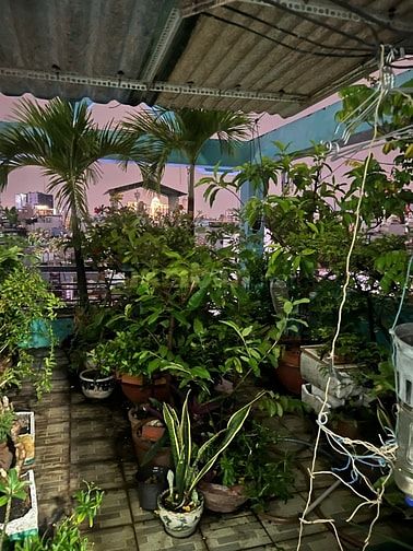 CHO NỮ THUÊ PHÒNG 59 PHÙNG VĂN CUNG, PHÚ NHUẬN