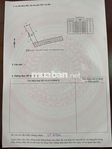 🔥 CHÍNH CHỦ BÁN 2 LÔ ĐẤT LIỀN KỀ – HOÀ XUÂN, TRUNG TÂM ĐÀ NẴNG 🔥