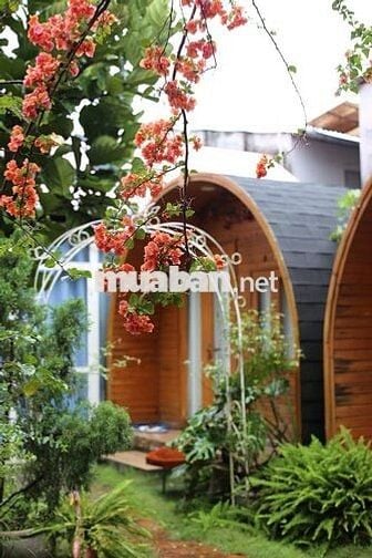 Phòng homestay cho thuê tháng - Trung tâm Cần Thơ