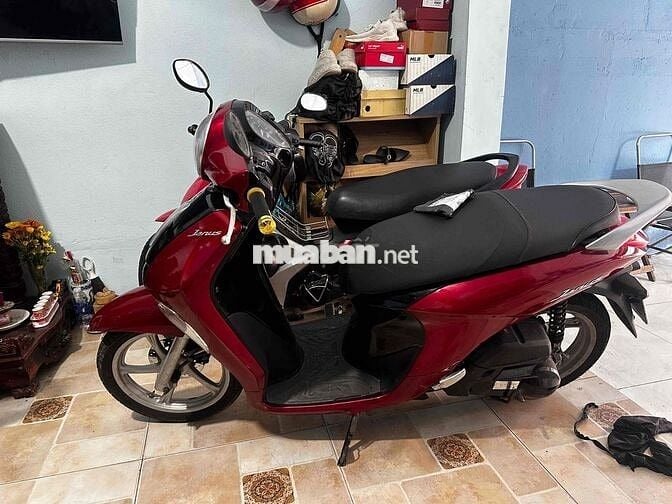 Yamaha Janus 2017 máy zin