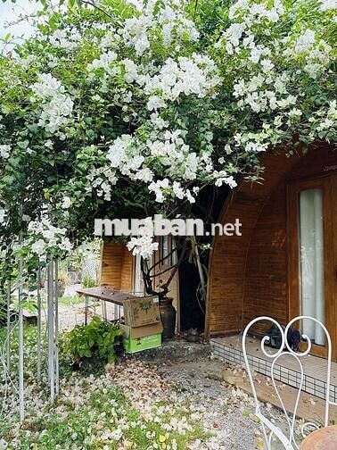 Phòng homestay cho thuê tháng - Trung tâm Cần Thơ