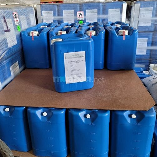 DK Yucca Liquid – Yucca Nước Hấp Thụ Khí Độc NH3, H2S Cho Ao Nuôi Tôm 