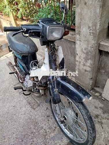 Honda Angel 80 Đen trắng