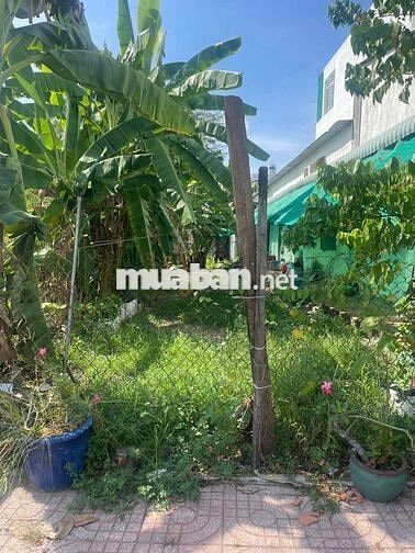 Cần bán gấp lô đất ngay thị trấn cho con gái học đại học 139m2 giá 599