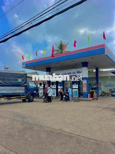 Chủ kẹt cần bán gấp 1 vườn nghỉ dưỡng 📐 12x35, sổ riêng full thổ cư