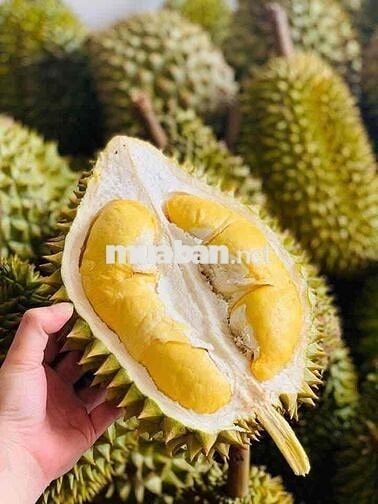 Bán Nhà Vườn Long Khánh - TP.Đồng Nai