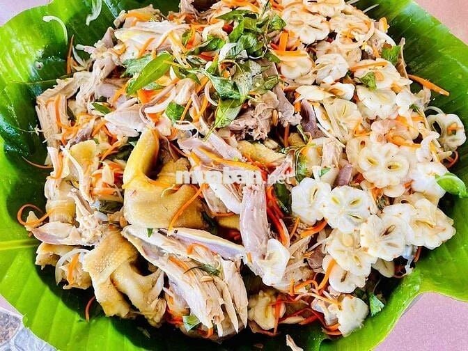 Bán Nhà Vườn Long Khánh - TP.Đồng Nai