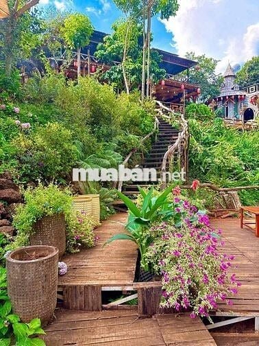 Bán Nhà Vườn Long Khánh - TP.Đồng Nai