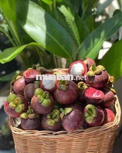 Bán Nhà Vườn Long Khánh - TP.Đồng Nai