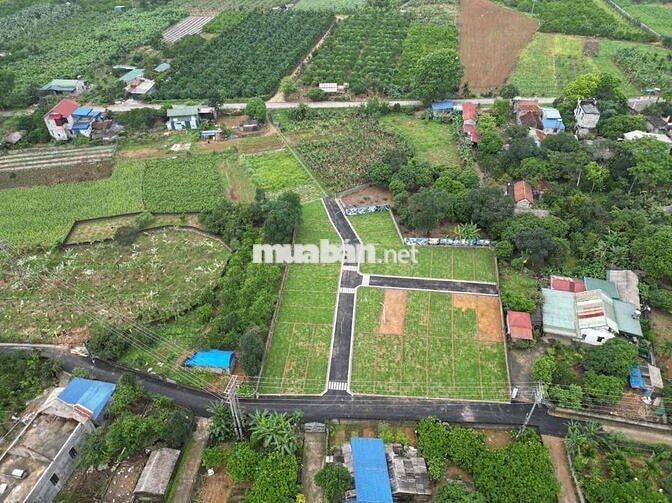 Bán đất Lương Sơn Hoà Bình cạnh Quốc Lộ 21A 100m full thổ cư giá 500tr