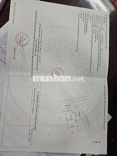 Bán Lô Góc Đường Số 2 Tái Định Cư Định Hiệp - Dầu Tiếng