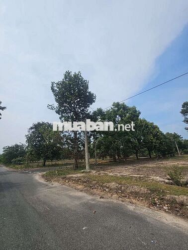 Bán Lô Góc Đường Số 2 Tái Định Cư Định Hiệp - Dầu Tiếng