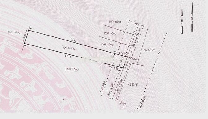 🔥 CHÍNH CHỦ BÁN 2 LÔ ĐẤT LIỀN KỀ – MẶT TIỀN HẺM 59 TÂY LÂN 🔥