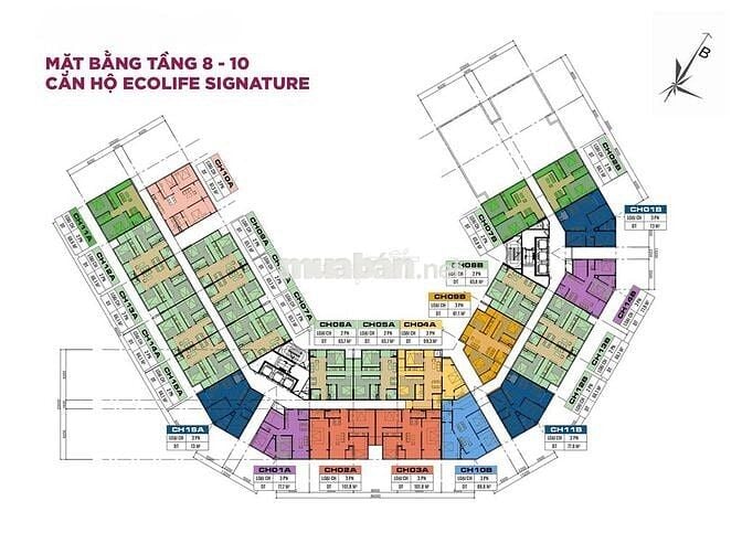 Ecolife Signature chỉ 2,1 tỷ sở hữu căn 2PN - nhận Ck đến 11%