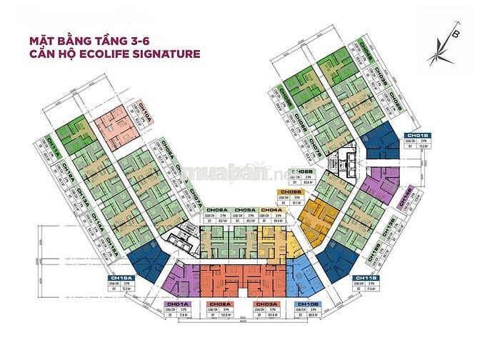 Ecolife Signature chỉ 2,1 tỷ sở hữu căn 2PN - nhận Ck đến 11%