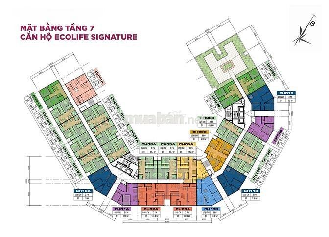 Ecolife Signature chỉ 2,1 tỷ sở hữu căn 2PN - nhận Ck đến 11%