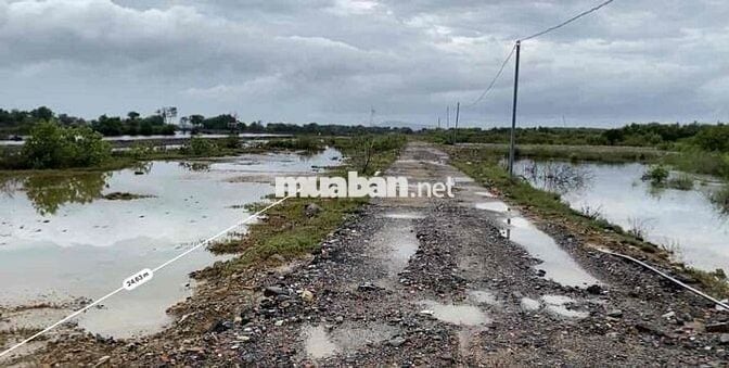 Bán đất nhà vườn, Biệt thự P12, Vũng Tàu
