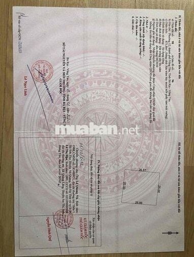 Bán đất nhà vườn, Biệt thự P12, Vũng Tàu