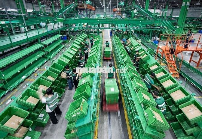 [SÓC TRĂNG - LONG PHÚ] TUYỂN SHIPPER GIAO HÀNG 