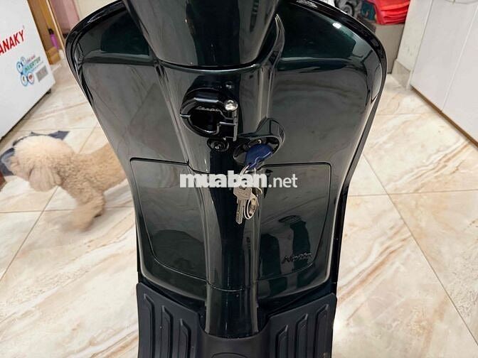 Piaggio Vespa Sprint Notte 2019 Xanh rêu