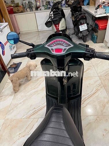 Piaggio Vespa Sprint Notte 2019 Xanh rêu