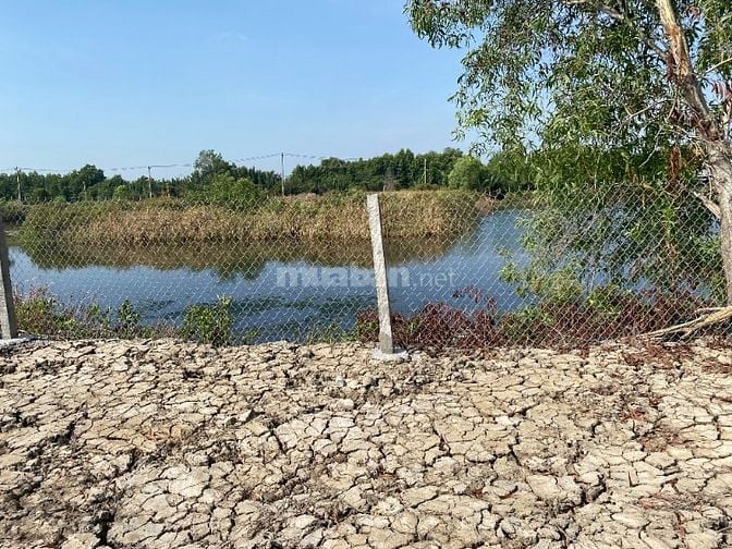 BÁN ĐẤT MẶT TIỀN XÂY BIỆT THỰ NHÀ VƯỜN