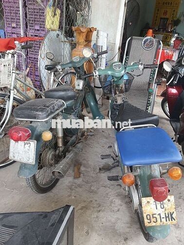 Honda Cub 70cc màu Xanh