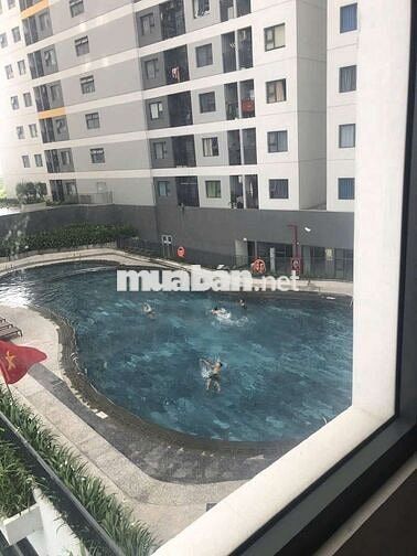 Cho thuê căn hộ Legacy 2pn2wc căn góc full nội thất