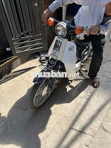 Honda Cup 82 màu Trắng
